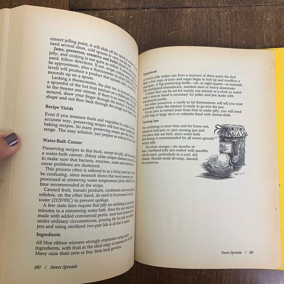 1993 VINTAGE America's Best State Fair Recipes Recipe Book Cooking Canning Tips - Picture 7 of 11
